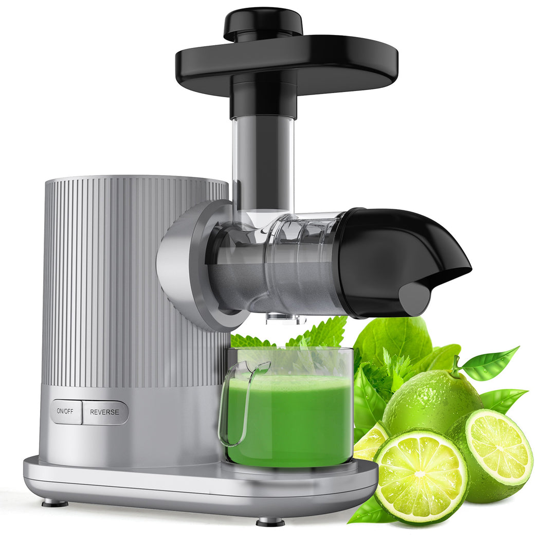 Gymax Horizontal Juicer Machine Cold Press Slow Masticating Juice Extractor Silver